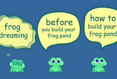 How to build a frogpond